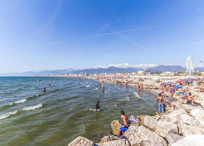 Apartment 3 Bedroom Lovely In *